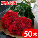 P5倍 【送料無料】赤いバラの花束ギフト50本