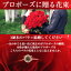 【送料無料】【年末年始お届け】大切なその日を素敵に演出!プロポーズの赤いバラの花束ギフト108本