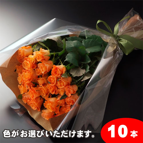 【送料無料】バラの花束ギフト10本