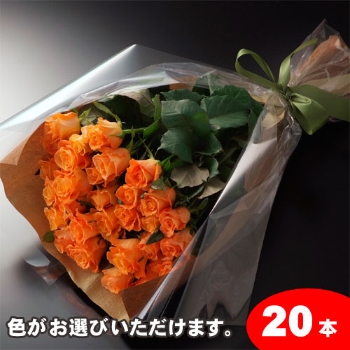 【送料無料】バラの花束ギフト20本