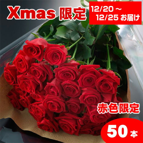 【送料無料】クリスマス赤いバラの花束ギフト50本