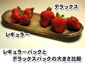 博多あまおういちごデラックスパック×2パック