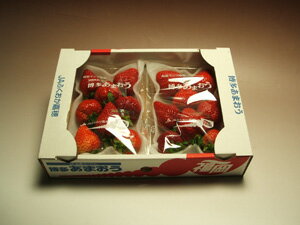 博多あまおういちごデラックスパック×2パック