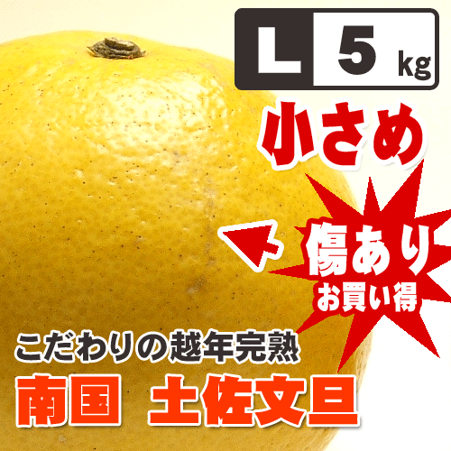 ̵ۼǱǯʸöϡܾںǤ˾̣Ǥᤴѡڽͭ۱ǯϡںʸöLB 5Ȣ