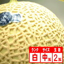 【送料無料】静岡産クラウンメロン2玉「白」 中玉