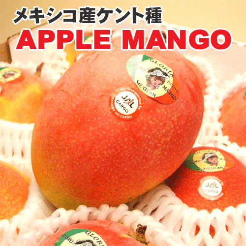 ᥭȼǿ̣͢ޥ󥴡ǤϺǹ⡪ڶ͢ۥᥭޥ󥴡5kg910