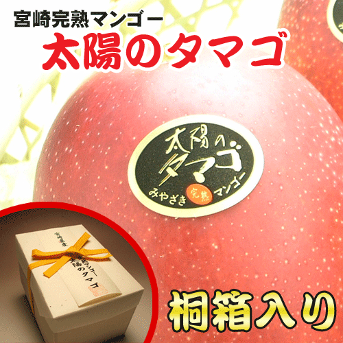 【JA西都】完熟マンゴー太陽のタマゴ2Lサイズ3玉（桐箱入り）