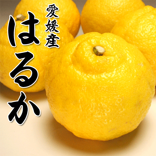 ̵ۥΤ褦ʳȤϴŤ֤䤫ɲĮϤ뤫L3L5kg