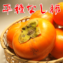 7.5kg【送料無料】平種なし柿赤秀 05P03Dec16