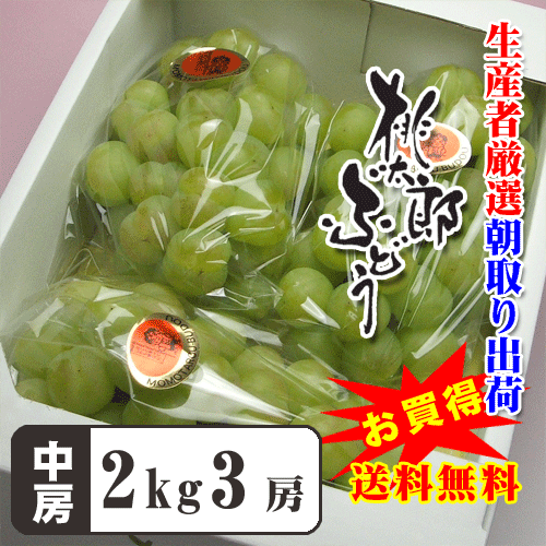 ī⤮ƽв١ԸϺ£Ǥ⽽ʬOKʥ٥Ǥ̵ۡڤѡϺ֤ɤ34˼2kg72֥