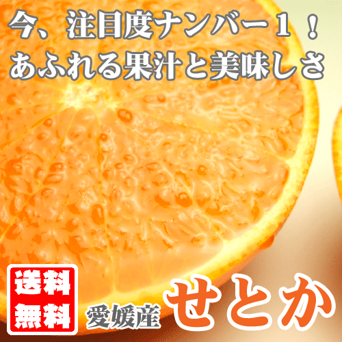 TVǥ֥쥤ǯä˾ʤǤɲ֥ϥȤ׽M3