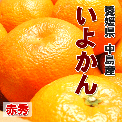 ɲǤ̳ʤǤȥåץ֥绺ɲ礤褫ֽL3L4.5kg