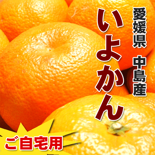 ɲǤ̳ʤǤȥåץ֥绺ڤѡ۰ɲ硡褫L3L4.5kg