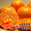愛媛産【少々傷あり品】ご自宅用せとか!【訳あり・ご自宅用】愛媛産せとかMサイズ5kg