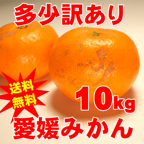 【数量限定500円引き】【送料無料】【訳あり】みかん王国愛媛産温州みかん10kg満杯