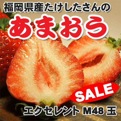 ʬλҶΰ٤ˡŰŪ˸ˤޤΤޤM48