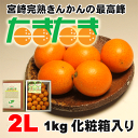 【送料無料】きんかんの最高峰!糖度18度以上宮崎産完熟金柑(きんかん)の最高峰「たまたま」2Lサイズ1kg化粧箱