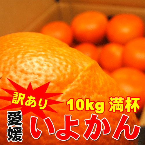 またまた登場10キロ満杯詰めシリーズ！【訳ありご自宅用】愛媛産いよかん10kg満杯詰め