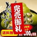 石原名人 桃太郎ぶどう ご自宅用パック800g(200g×4パック計800g)岡山県産 エンゼルの里久米南町より 送料無料