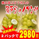 【送料無料】【岡山産】【ご自宅用】桃太郎名人の瀬戸ジャイアンツ2パック