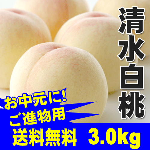 【送料無料】【進物用】『岡山白桃物語』岡山白桃の代表格！清水白桃3kg