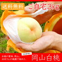 臼井桃園 白桃 ご自宅訳あり 3Kg 8〜11玉 栽培園限定...
