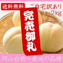 岡山県産白桃 最後の品種 ご自宅訳あり 2Kg 5〜8玉 栽...