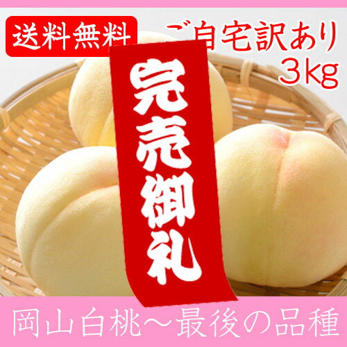 【ポイント5倍】岡山県産白桃 最後の品種 ご自宅訳あり 3Kg 8〜11玉 栽培園限定商品 送料無料 希少品のため収穫予定数量完売と同時に販売終了致します