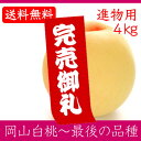 岡山県産白桃 最後の品種 進物用 4Kg 10〜15玉 栽培園限定商品 送料無料 希少品のため収穫予定数量完売と同時に販売終了致します