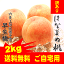 岡山 はなよめ桃 ご自宅用訳あり 2Kg 9〜11玉 6月収穫の早生桃 送料無料...