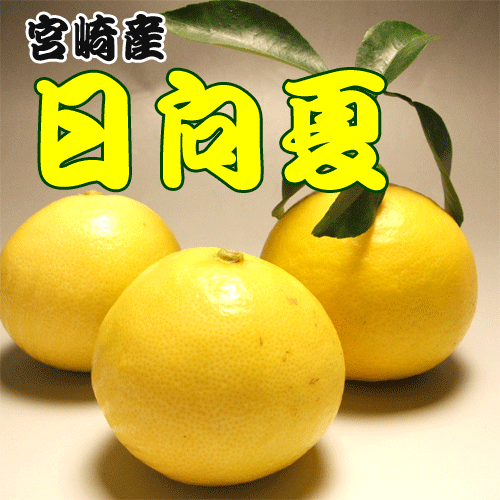 ̵λǿ͵䤫̣ȹܺ껺5kg2024