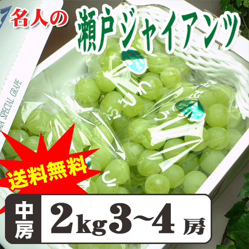 【送料無料】【岡山産】【ご自宅用】桃太郎名人の瀬戸ジャイアンツ2kg桃太郎ぶどうと同じ品種！皮ごと食べられて種がない