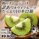 【期間限定・送料無料】愛媛産キウイ【訳あり】たっぷり10キロ箱 フルモニスムージーにオススメ!05P03Sep16