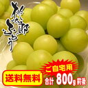 【送料無料】皮ごと食べられて種もない【ご自宅用】桃太郎ぶどう合計800g前後