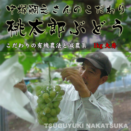 【送料無料】中塚さんの桃太郎ぶどう1キロ大房減農薬、有機栽培、天然水使用こだわりのぶどう