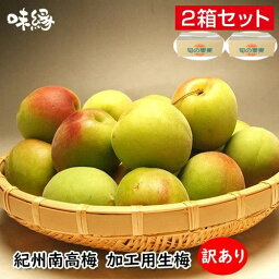 梅 うめ 紀州南高梅 生梅 青梅 完熟梅 訳あり サイズ混合 5Kg×2箱 10Kg 和歌山県産 産地 直送品 国産 早期ご予約 数量限定 冷蔵便 送料無料 数量限定品 梅干し 梅酒 梅ジュース 梅ジャム 梅シロップ 加工 梅 加工用梅