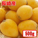 【送料無料】ご贈答に長崎産びわMサイズ約500g16玉前後★母の日にも