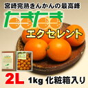【送料無料】宮崎産完熟金柑(きんかん)の最高峰「たまたまエクセレント」2Lサイズ1kg化粧箱
