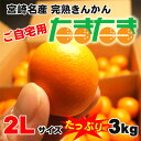 【送料無料】【訳ありご自宅用】宮崎産完熟金柑(きんかん)「た...