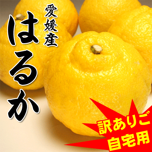 ̵ۥΤ褦ʳȤϴŤ֤䤫ꡦѡ۰ɲĮϤ뤫L3L5kg