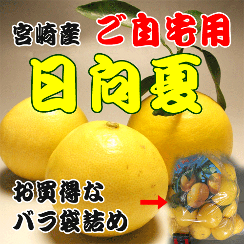 ̵礭·ꡪϸãͤǤڤѡܺ껺5kg2025