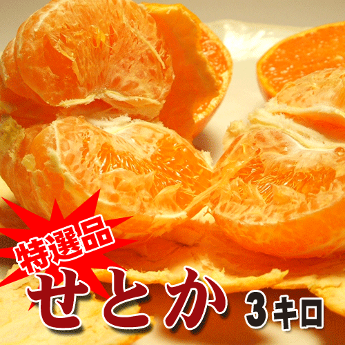 2004ǯˡɤä硼θǺФƥ֥쥤ʤ⤤͵ؤ롪NO1Υѡ̵̡ۤȤ3kgL3L