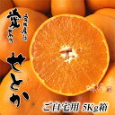 【送料無料】スーパー柑橘せとか【ご自宅用】5Kg箱 05P03Sep16