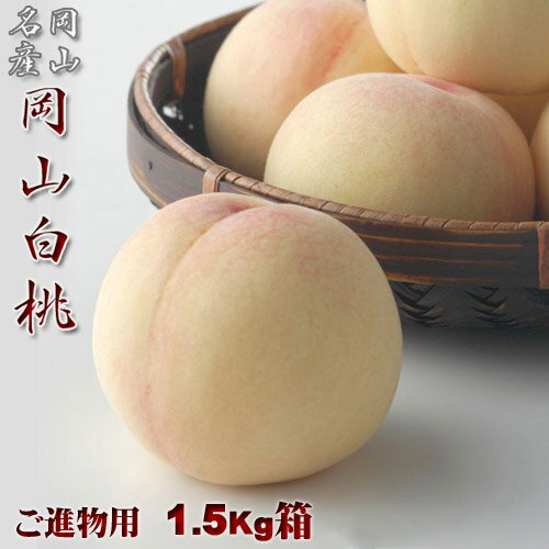 岡山県産白桃 進物用 1.5Kg 6～8玉 <strong>岡山白桃</strong>物語 送料無料 収穫地を桃の聖地岡山玉島地区に限定した商品です【早期ご予約受付中】お中元