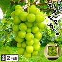 岡山県産 名人のシャインマスカットたっぷり2キロ箱 送料無料