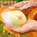 【完売御礼】臼井桃園 白桃 ご自宅訳あり 3Kg 8〜11玉...
