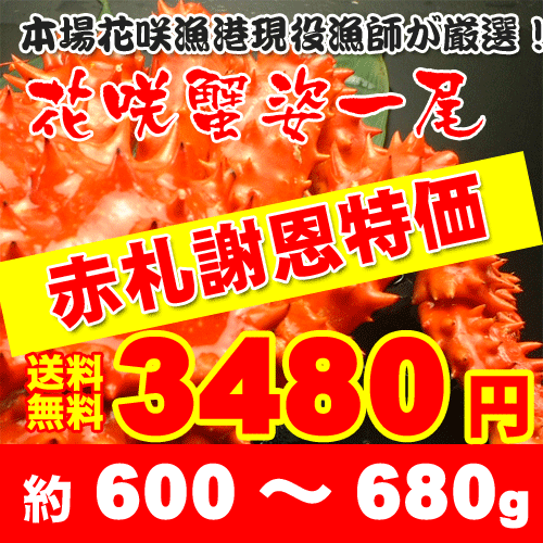 歳末赤札謝恩セール！【送料無料】根室より直送！現役漁師が目利きした逸品！ボイル花咲ガニ姿600g