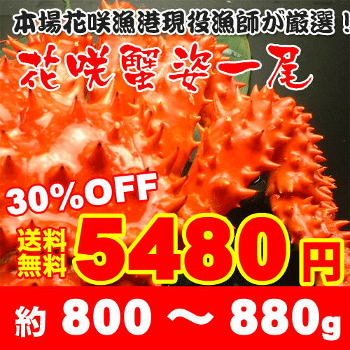 歳末謝恩セール【送料無料】根室より直送！現役漁師が目利きした逸品！ボイル花咲ガニ姿800g【送料無料】根室より直送！現役漁師が目利きした逸品