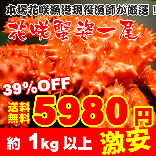 歳末赤札謝恩セール【送料無料】根室より直送！現役漁師が目利きした逸品！ボイル花咲ガニ姿1.0kg