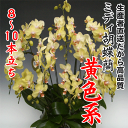 開店・開業・お礼・退職・移転・楽屋見舞い・結婚祝い・誕生日・...